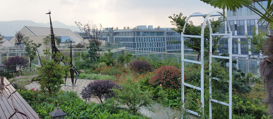 南京萬通城市建設(shè)設(shè)計院弱電系統(tǒng)項目案例。
